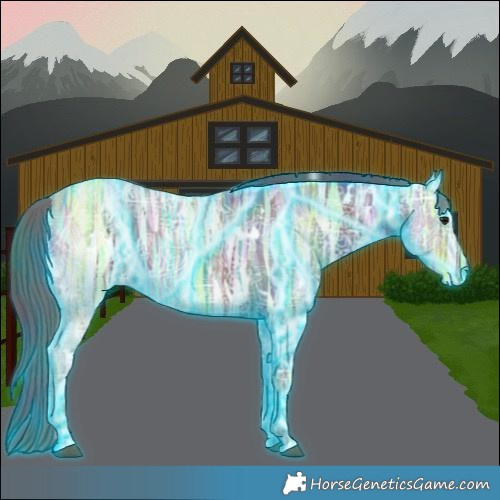 Horse Color:Nacre Thunderstruck White Spotted Black Ice Rabicano 