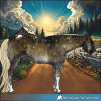 Horse Color:Chocolate Palomino Ice Onyx Mushroom Tobiano 