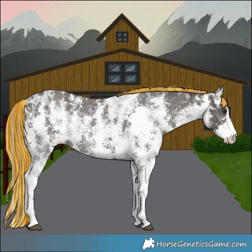 Horse Color:Painted Liver Chestnut Ice Sabino 