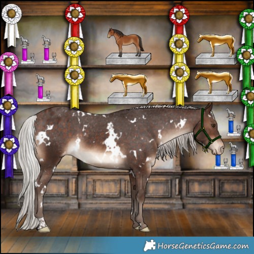 Horse Color:White Spotted Silver Brown Appaloosa 