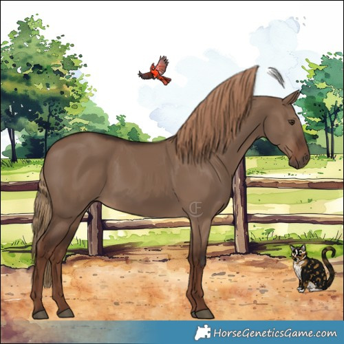 Horse Color:Liver Red Dun 
