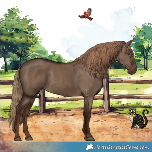 Horse Color:Liver Red Dun 