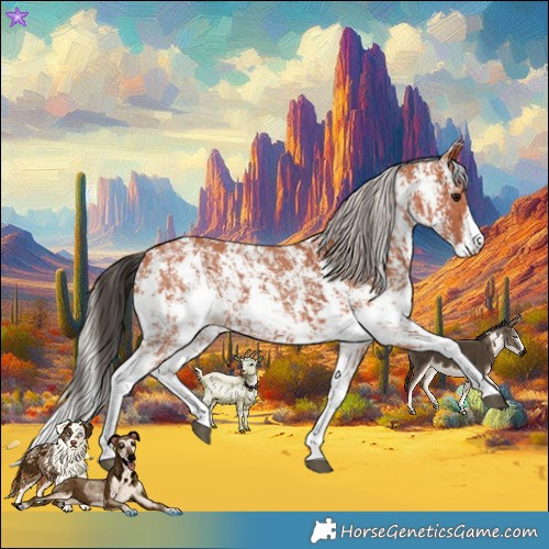 Horse Color:Bay Sabino Rabicano and Silver Bay Sabino Rabicano