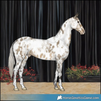 Horse Color:White Spotted Silver Smoky Grullo Ice Appaloosa