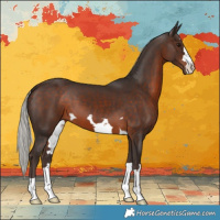 Horse Color:Silver Brown 