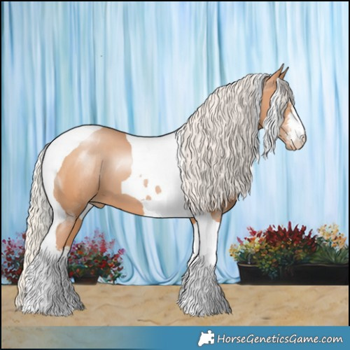 Horse Color:White Spotted Silver Bay Pearl Tobiano 