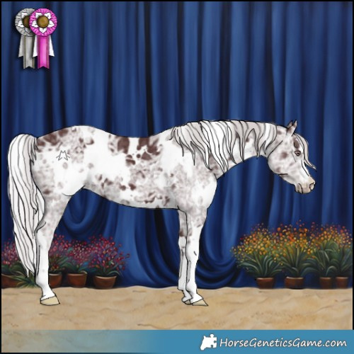 Horse Color:White Spotted Chocolate Silver Black Chinchilla Ice 