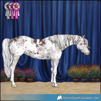 Horse Color:White Spotted Chocolate Silver Black Chinchilla Ice 