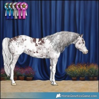 Horse Color:White Spotted Chocolate Silver Black Chinchilla Ice 