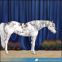 Horse Color:White Spotted Chocolate Silver Black Chinchilla Ice 