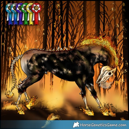 Horse Color:Void White Spotted Bay Onyx Frame 