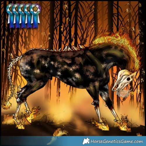 Horse Color:Void Red Onyx Sabino Frame 