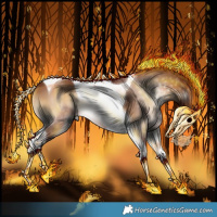 Horse Color:Gray Silver Bay Onyx Tobiano 