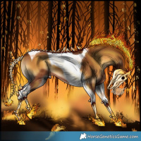 Horse Color:Gray Silver Bay Onyx Tobiano 