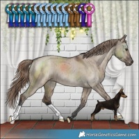 Horse Color:Liver Red Dun Varnish Brindle 