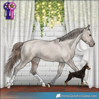 Horse Color:Liver Red Dun Appaloosa Brindle