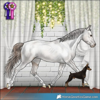 Horse Color:Liver Red Dun Appaloosa Brindle 