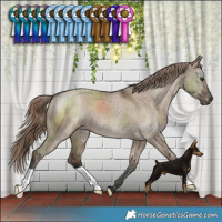 Horse Color:Liver Red Dun Varnish Brindle