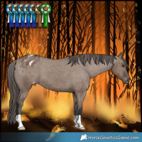 Horse Color:Liver Red Dun Varnish Brindle 