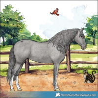 Horse Color:Grullo Appaloosa Brindle 