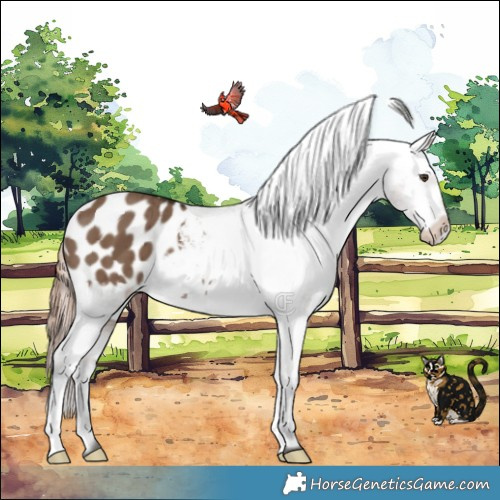 Horse Color:Liver Red Dun Varnish Brindle 