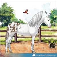 Horse Color:Liver Red Dun Appaloosa Brindle