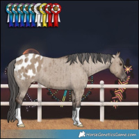 Horse Color:Liver Red Dun Varnish Brindle 