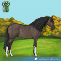 Horse Color:Brown Dun Brindle 