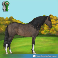 Horse Color:Brown Dun Brindle