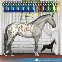 Horse Color:Brown Dun Blanket Brindle