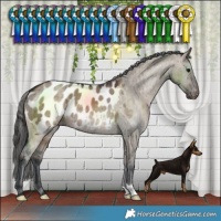 Horse Color:Brown Dun Blanket Brindle