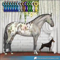 Horse Color:Brown Dun Blanket Brindle