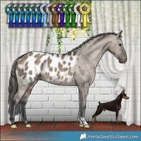 Horse Color:Brown Dun Blanket Brindle