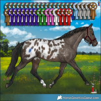 Horse Color:Brown Dun Blanket Brindle