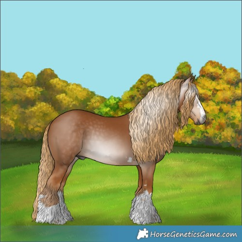 Horse Color:Gray Chestnut 