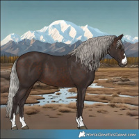 Horse Color:Silver Brown 