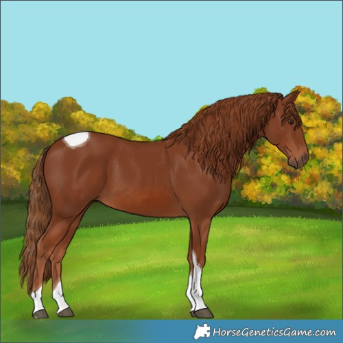 Horse Color:Chestnut Tobiano 