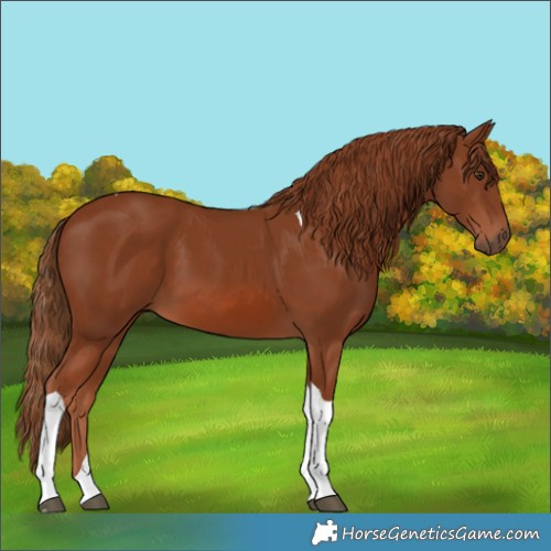 Horse Color:Chestnut Tobiano 