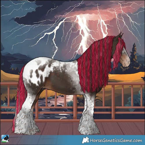 Horse Color:Painted Liver Chestnut Tobiano Appaloosa 