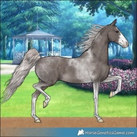 Horse Color:Platinum White Spotted Chocolate Palomino Tobiano 