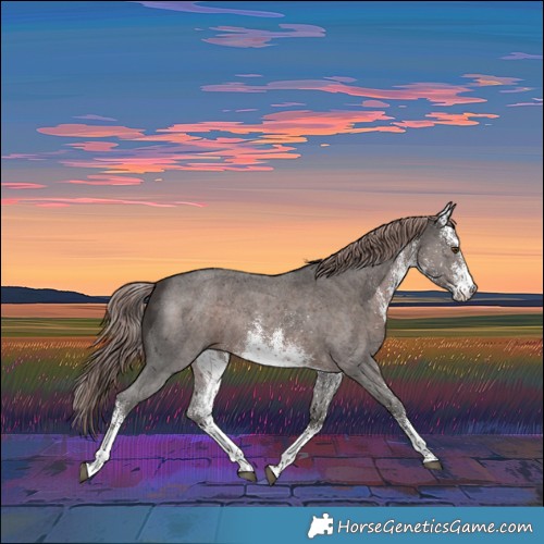Horse Color:Platinum White Spotted Liver Chestnut Rabicano 