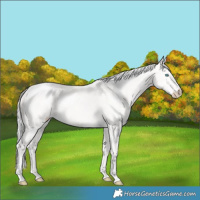 Horse Color:Silver Perlino 