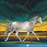 Horse Color:Platinum Chocolate Palomino Sabino Splash Tobiano Rabicano 