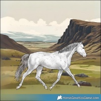 Horse Color:Platinum White Spotted Liver Chestnut Sabino Rabicano