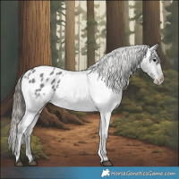 Horse Color:Blue Roan Blanket