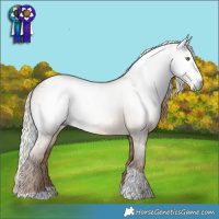 Horse Color:Gray Chocolate Palomino Splash  and Gray Liver Red Dun Tobiano 