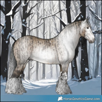 Horse Color:Gray Brown Tobiano Rabicano  and Gray Brown Dun Splash 