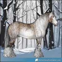 Horse Color:Gray Brown Tobiano Rabicano and Gray Brown Dun Splash