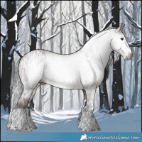 Horse Color:Gray Brown Tobiano Rabicano  and Gray Brown Dun Splash 