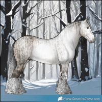 Horse Color:Gray Brown Tobiano Rabicano  and Gray Brown Dun Splash 
